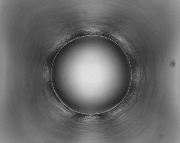 X0000090480465200707201419
