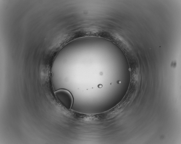 X0000090480468200707201419