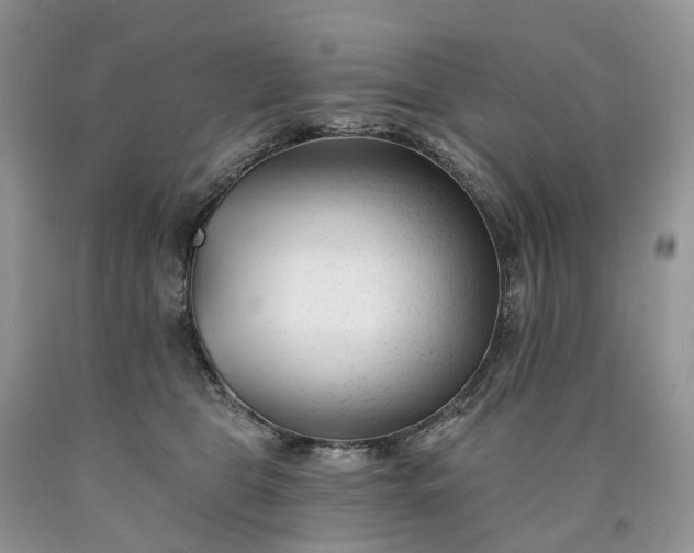 X0000090480469200707201419