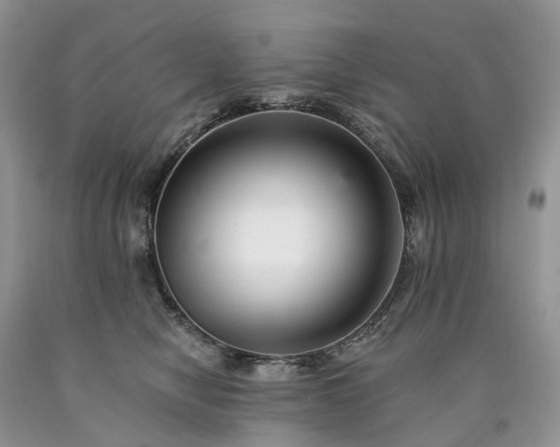 X0000090480470200707201419