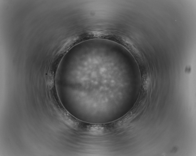 X0000090480471200707201419