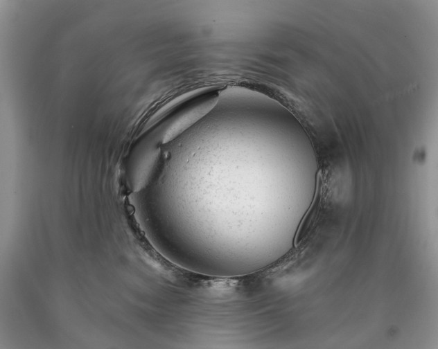 X0000090480474200707201419