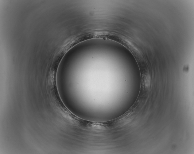X0000090480475200707201419