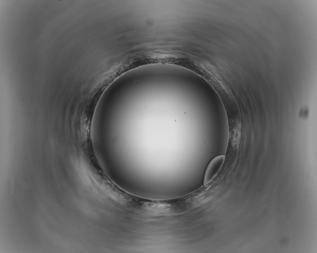 X0000090480476200707201419