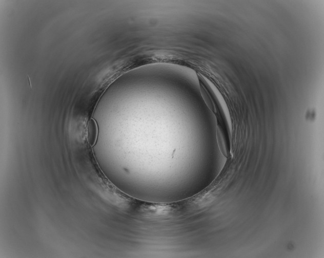X0000090480478200707201419