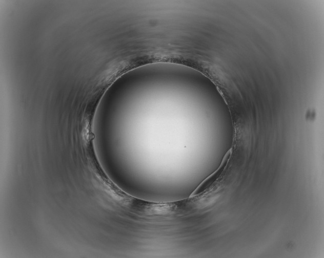 X0000090480479200707201419