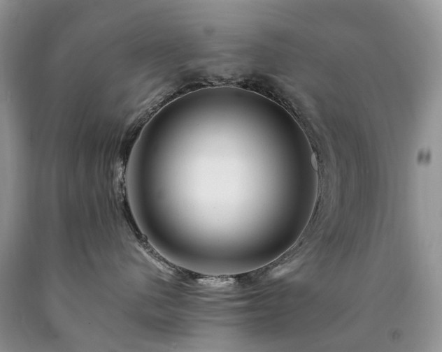 X0000090480480200707201419