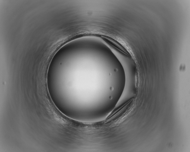 X0000090480481200707201419