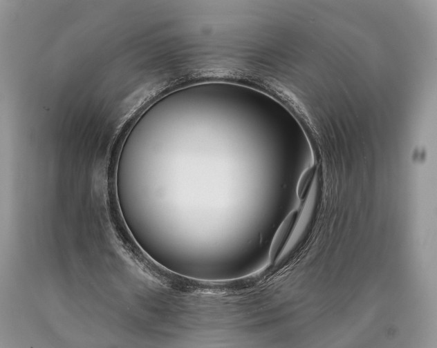 X0000090480482200707201419