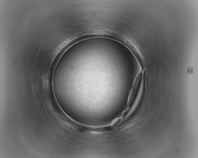 X0000090480483200707201419