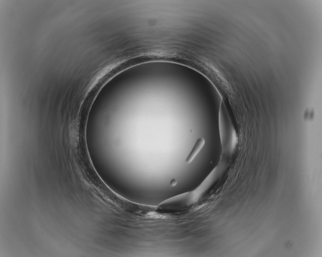 X0000090480484200707201419