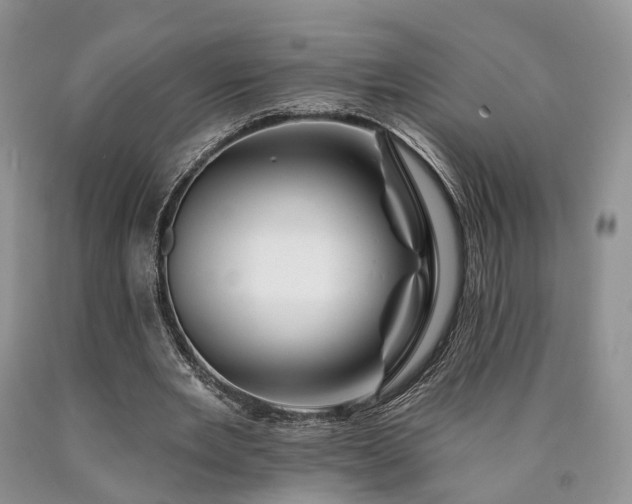 X0000090480485200707201418