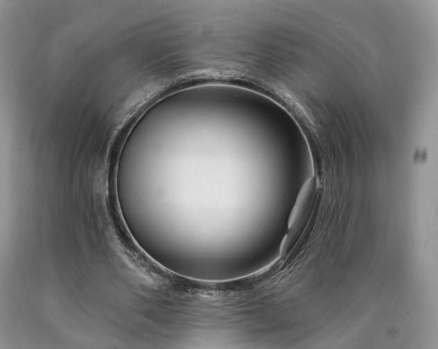 X0000090480486200707201418