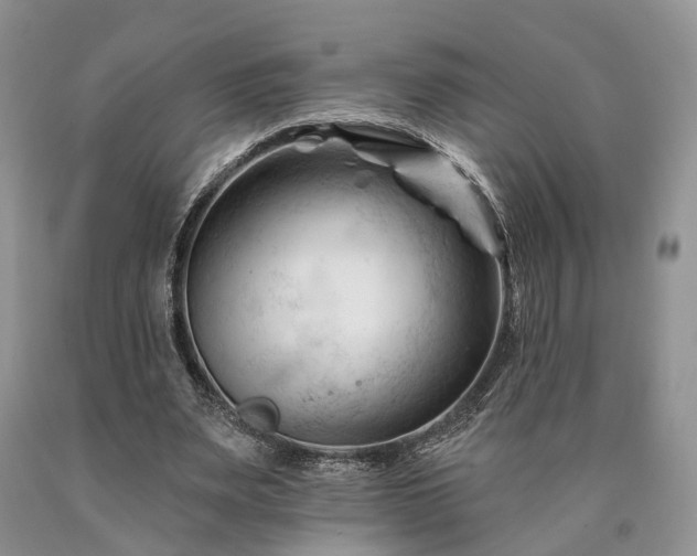 X0000090480487200707201418