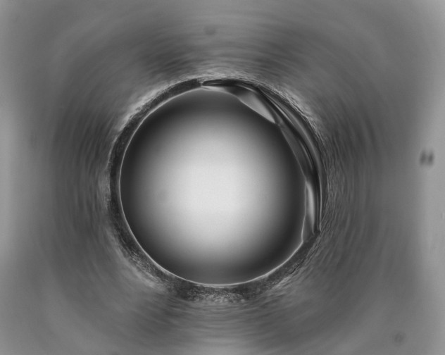 X0000090480488200707201418