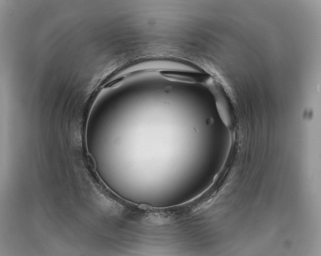 X0000090480489200707201418