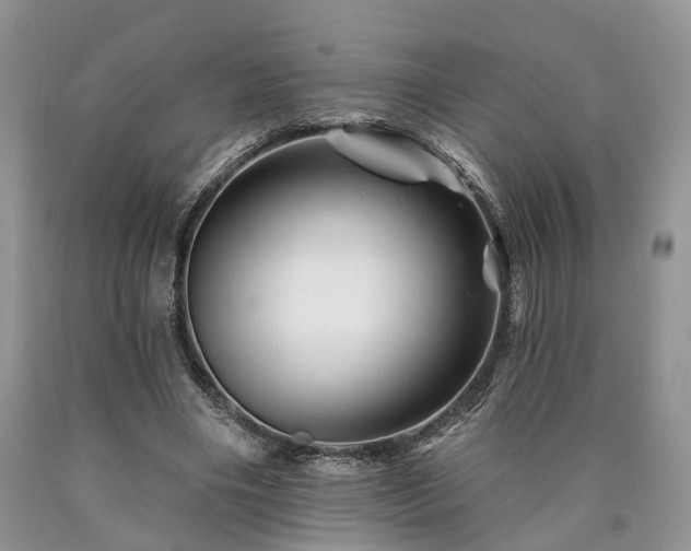 X0000090480490200707201418