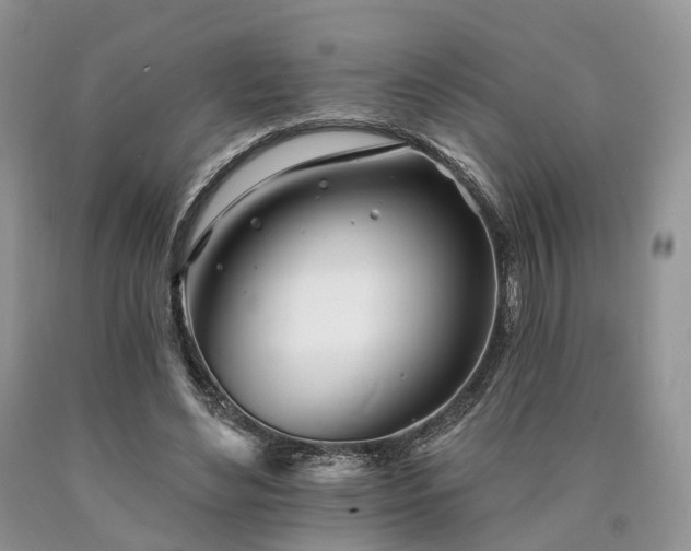X0000090480492200707201418