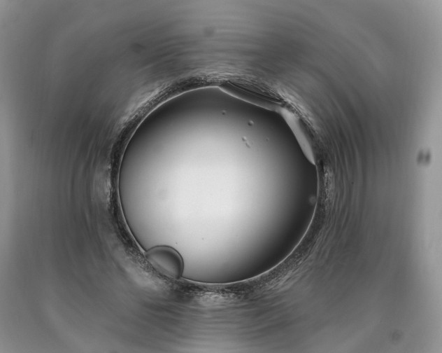 X0000090480494200707201418