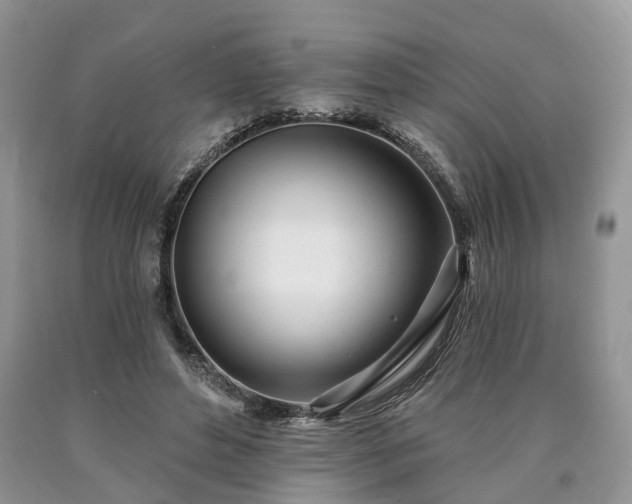 X0000090480496200707201418