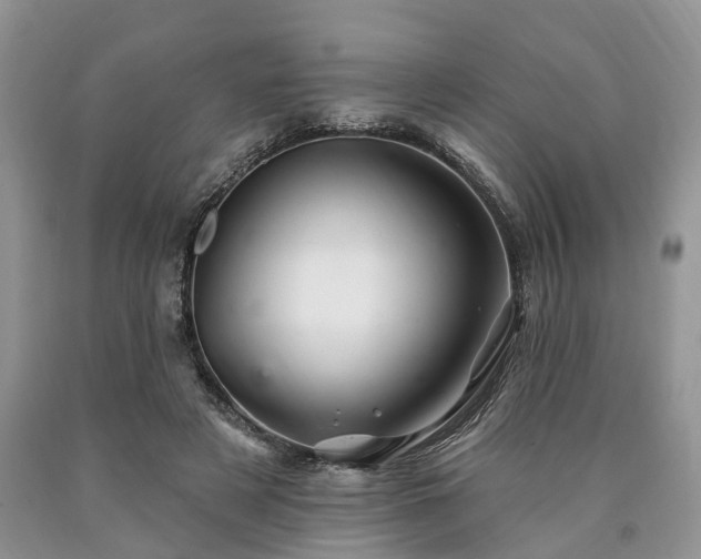 X0000090480497200707201418
