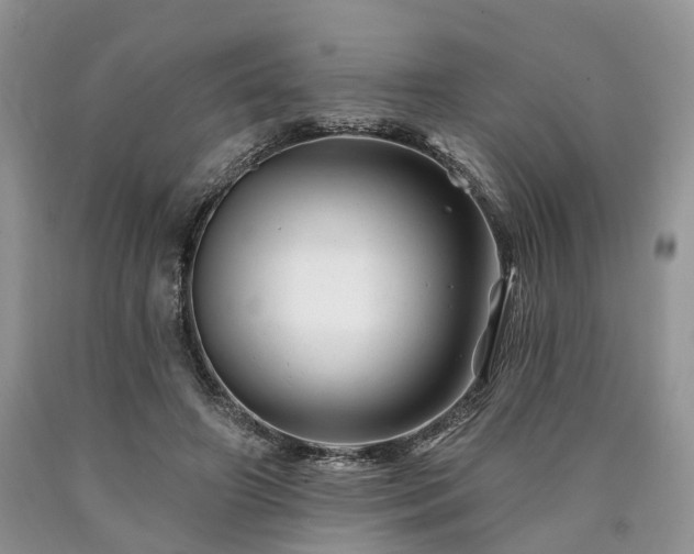 X0000090480498200707201418