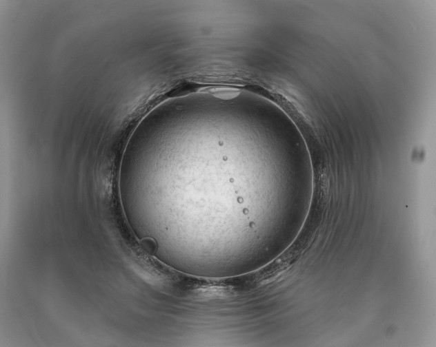 X0000090480499200707201418