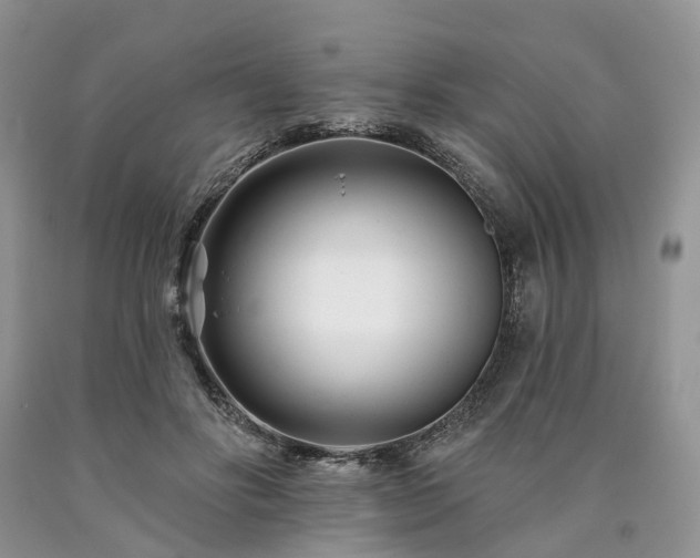 X0000090480502200707201418