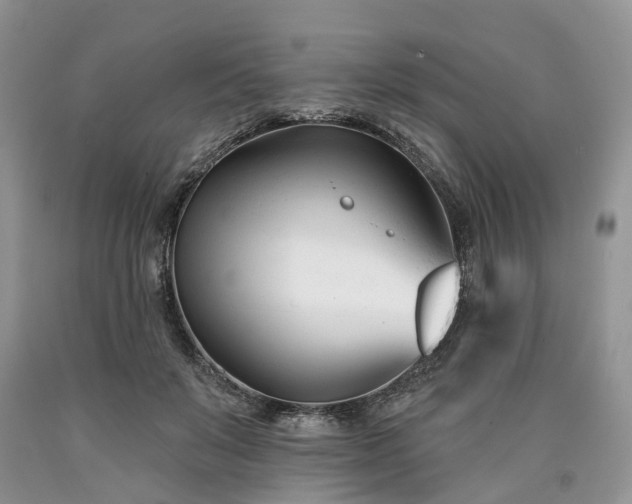 X0000090480503200707201418