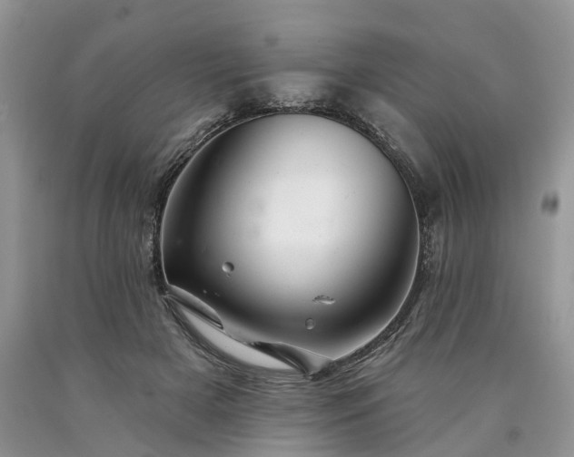 X0000090480505200707201418