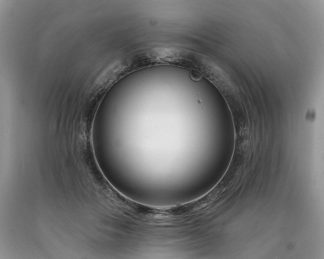 X0000090480506200707201418