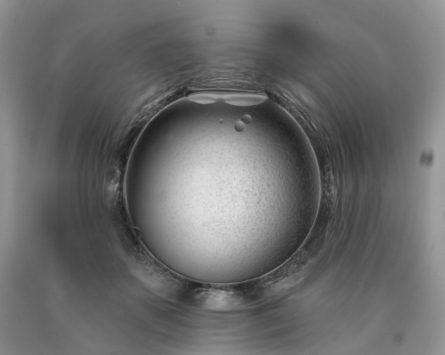 X0000090480507200707201418