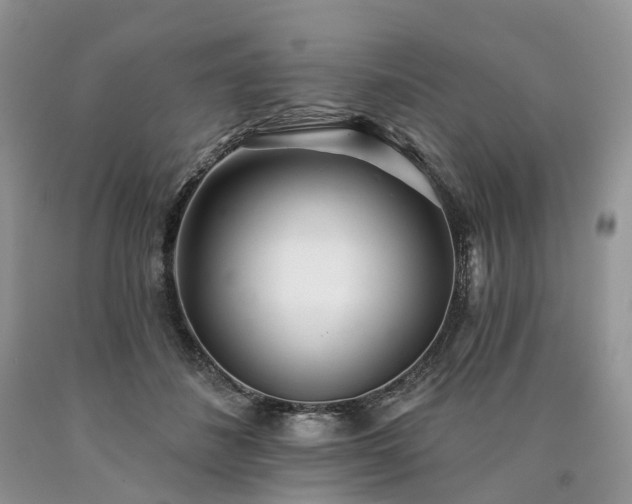 X0000090480508200707201418