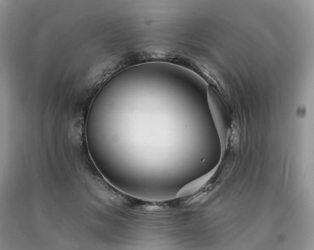 X0000090480509200707201418