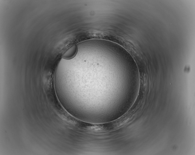 X0000090480511200707201418