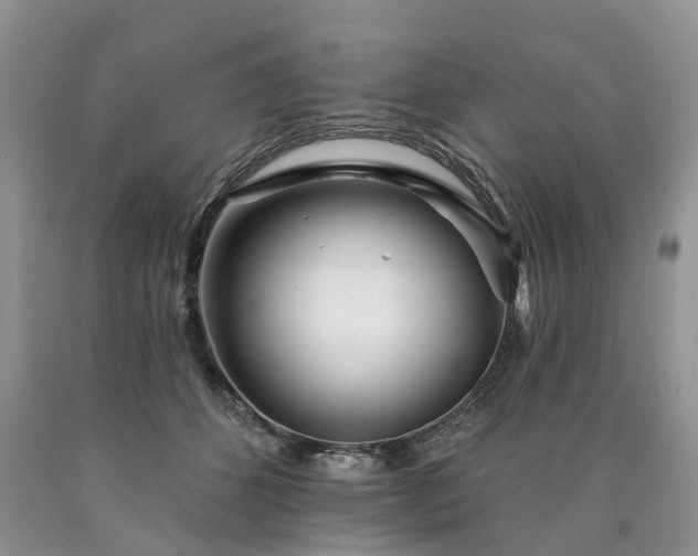 X0000090480512200707201418
