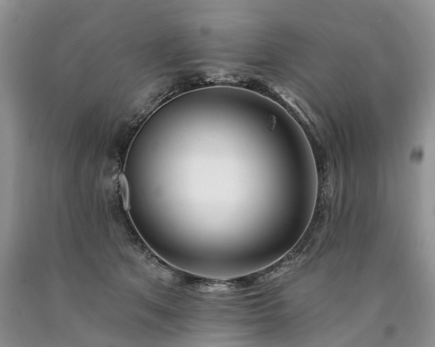 X0000090480513200707201418