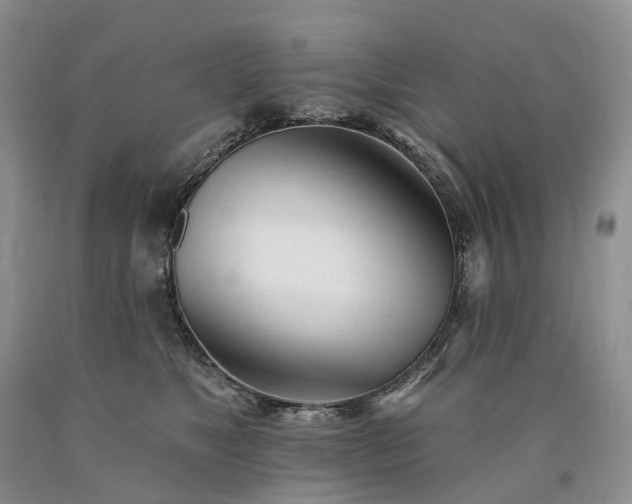X0000090480517200707201418