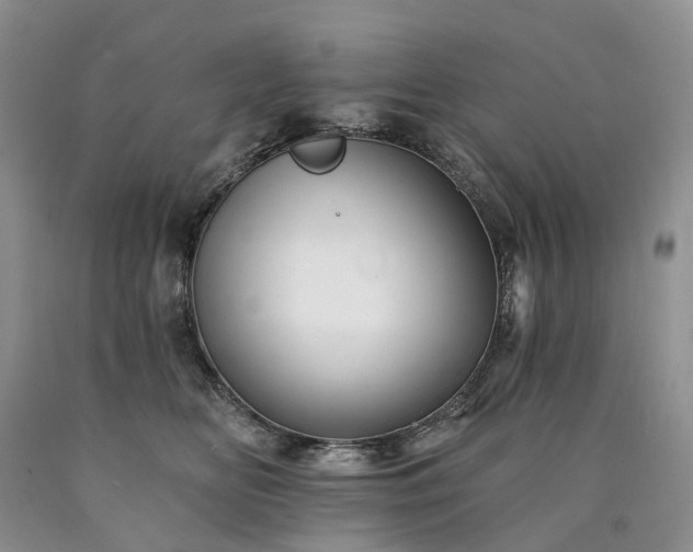X0000090480518200707201418