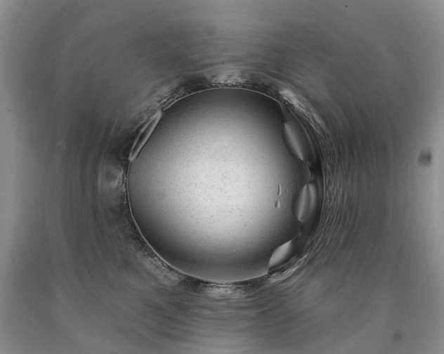 X0000090480521200707201418