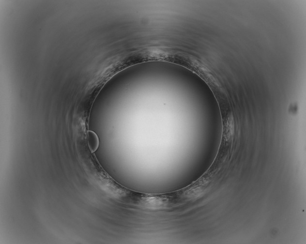 X0000090480522200707201418