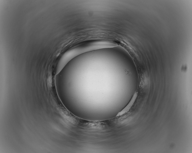 X0000090480524200707201418