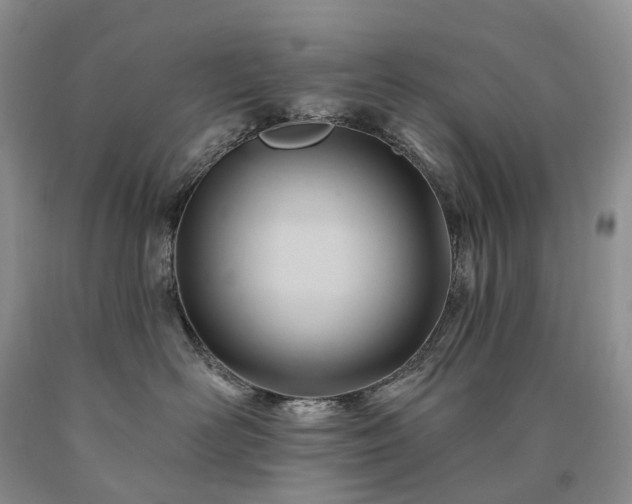 X0000090480526200707201418
