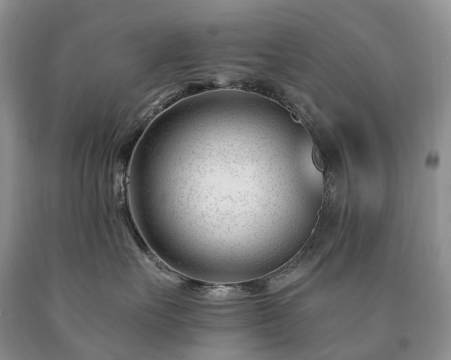 X0000090480527200707201418