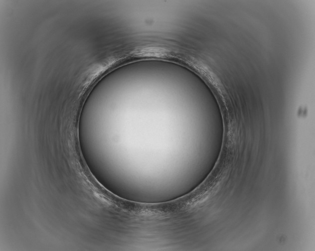 X0000090480529200707201417