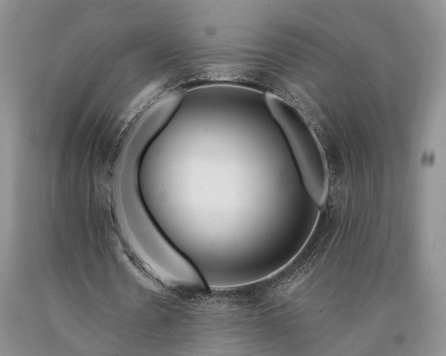 X0000090480530200707201417