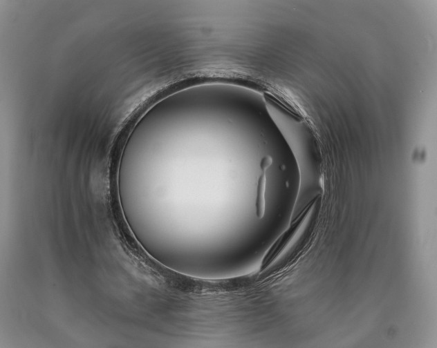 X0000090480531200707201417