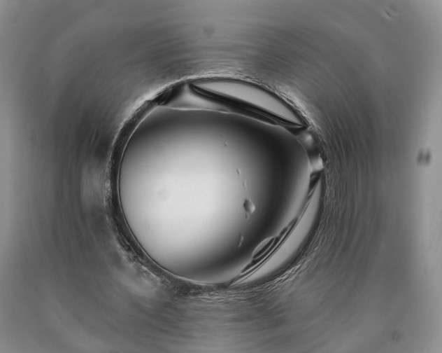 X0000090480532200707201417