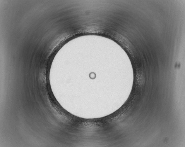 X0000090480534200707201417