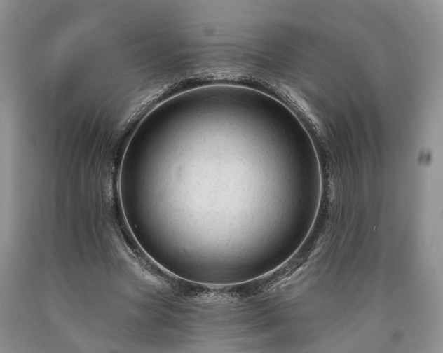 X0000090480537200707201417